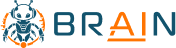 BRaiN HR Logo